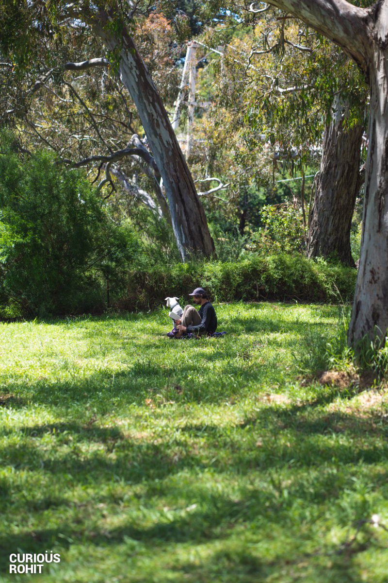 A man and a dog sitting in the grass